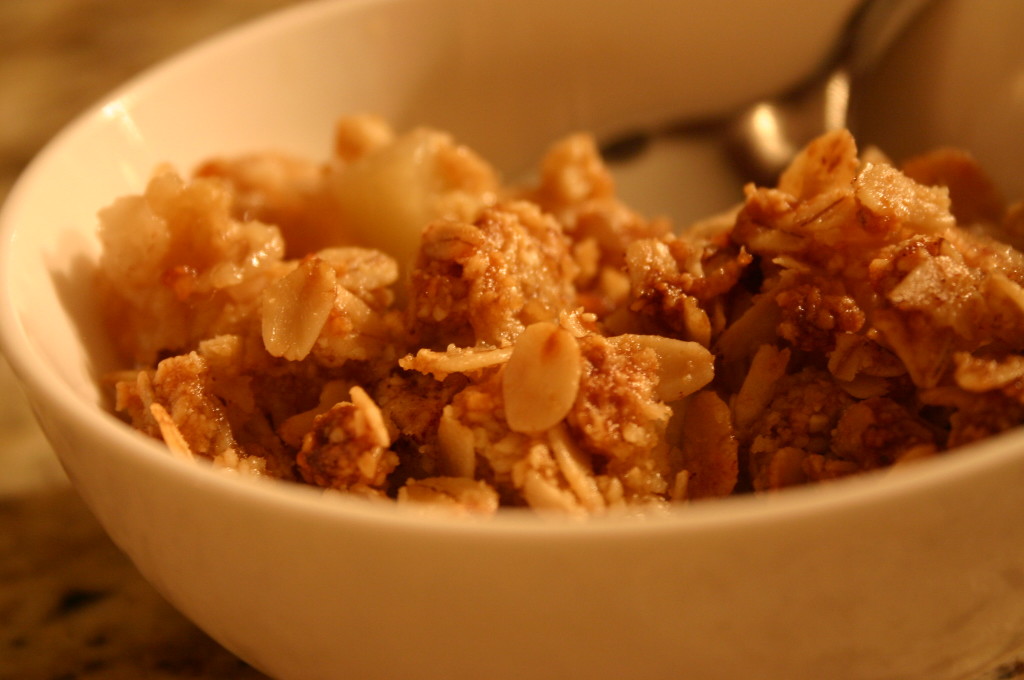 Low Carb Apple Crisp - Low Carb Recipe Ideas